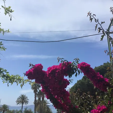 Hotel L'ilot Fleuri Le Lavandou